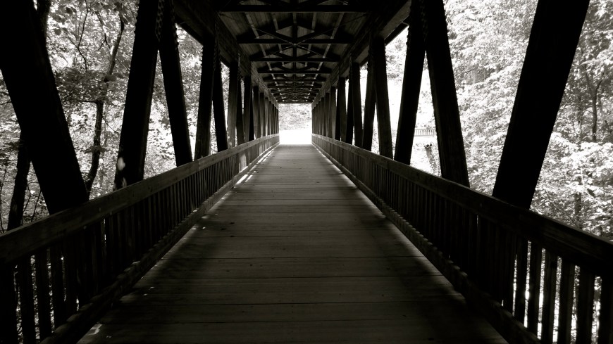 Wooden Bridge, Roswell 2010